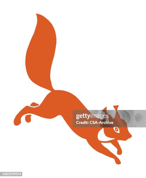 squirrel - squirrels stock illustrations