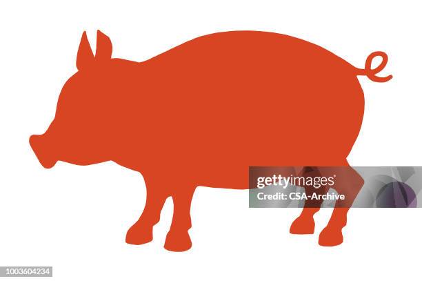 schwein - ferkel stock-grafiken, -clipart, -cartoons und -symbole