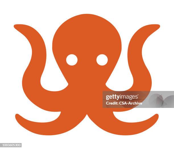 octopus - octopus stock illustrations