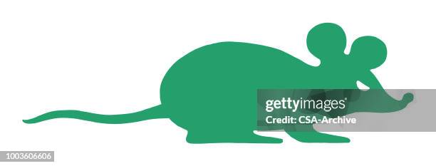 rat - mice stock illustrations