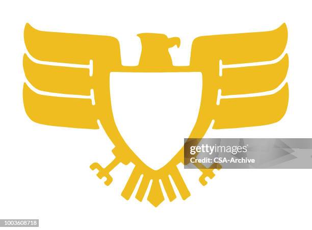 eagle with crest - bald eagle wings stock illustrations