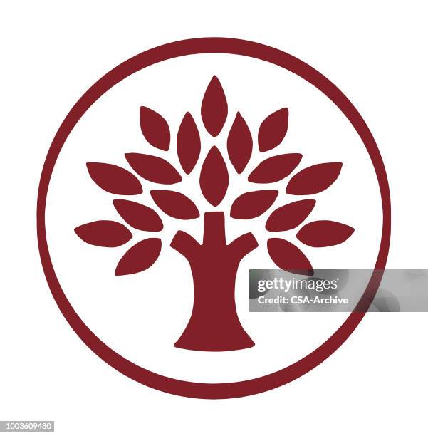 baum mit blättern - familientreffen stock-grafiken, -clipart, -cartoons und -symbole