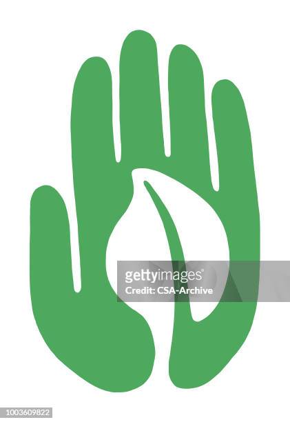 hand and leaf - green leaf logo stock illustrations