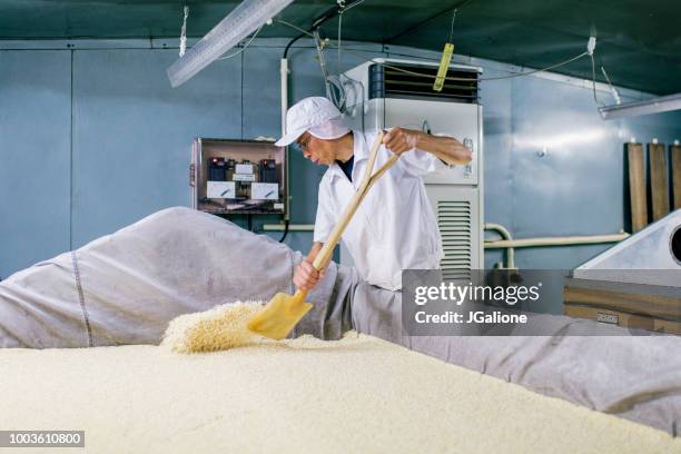 arbeiter in einer lebensmittelfabrik verarbeitung - miso stock-fotos und bilder