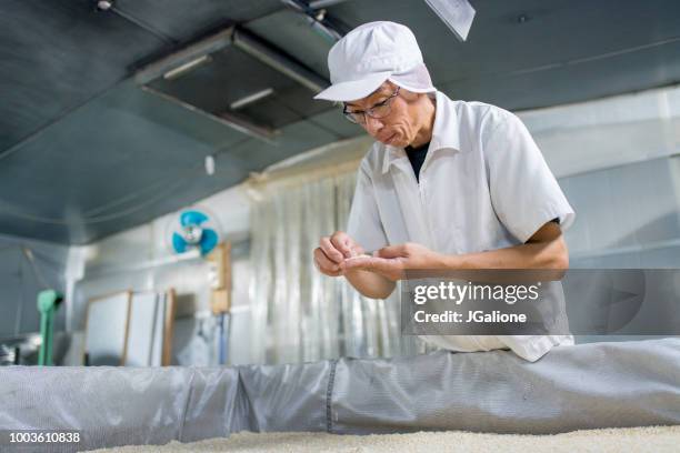 worker checking the quality of rice in a food processing factory - rice production stock pictures, royalty-free photos & images