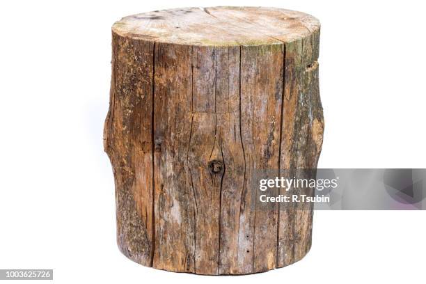 wood log isolated on a white background - baumstumpf stock-fotos und bilder