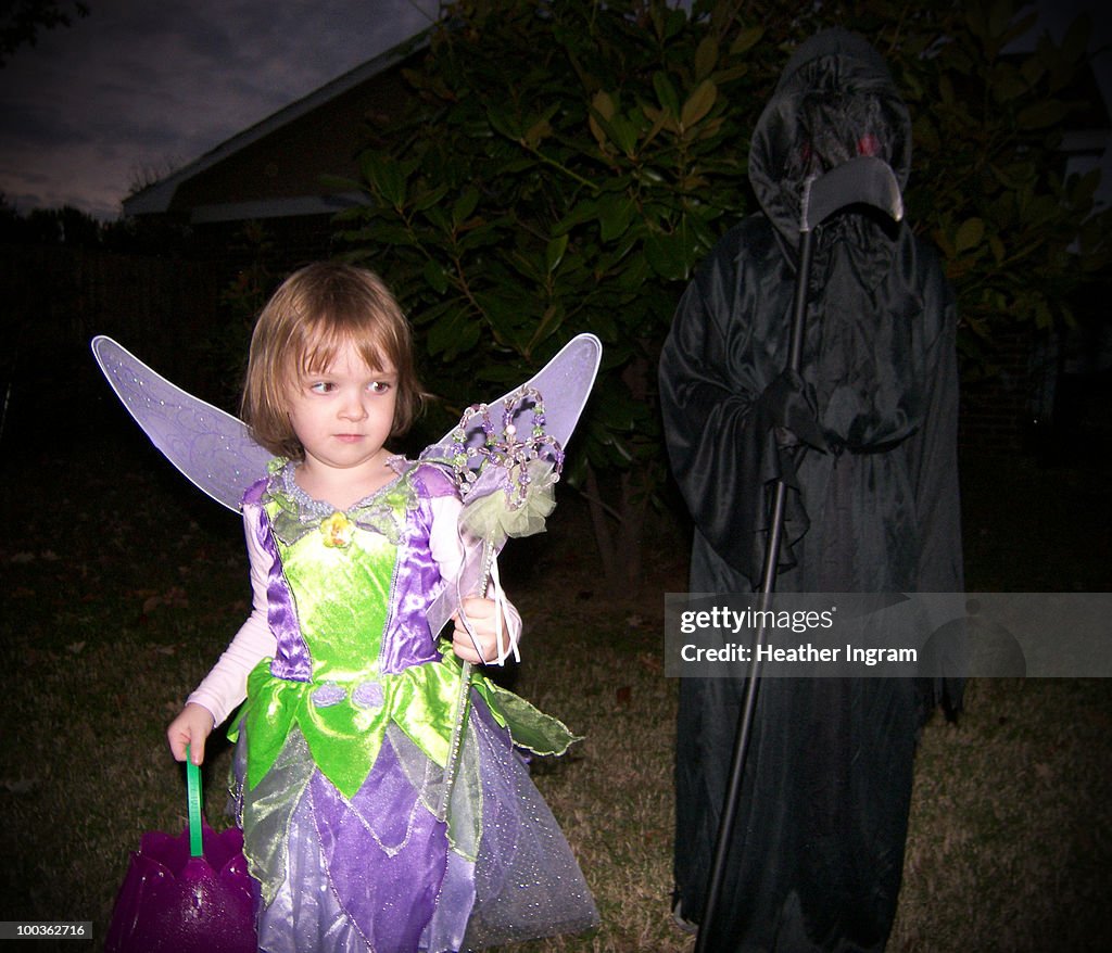 The Fairy and the Phantom