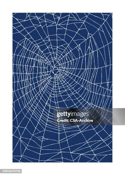 spider web pattern - spider web stock illustrations