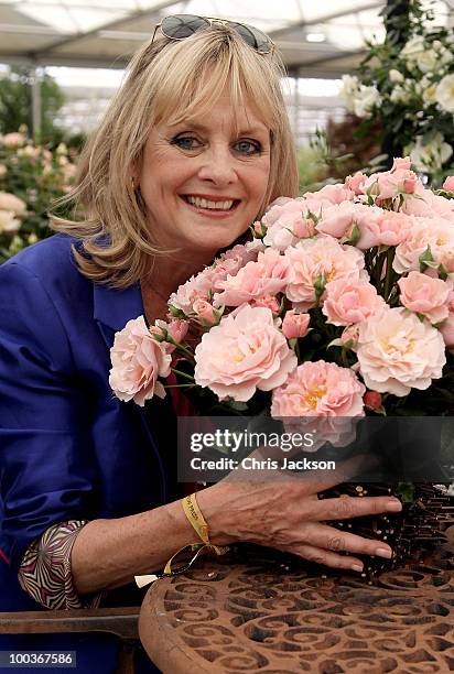 Twiggy poses with a bouquet of Rosa 'Twiggy' in the Harkness Roses Garden at the Press & VIP preview at The Chelsea Flower Show at Royal Hospital...