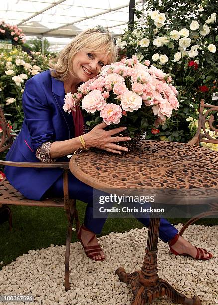 Twiggy poses with a bouquet of Rosa 'Twiggy' in the Harkness Roses Garden at the Press & VIP preview at The Chelsea Flower Show at Royal Hospital...