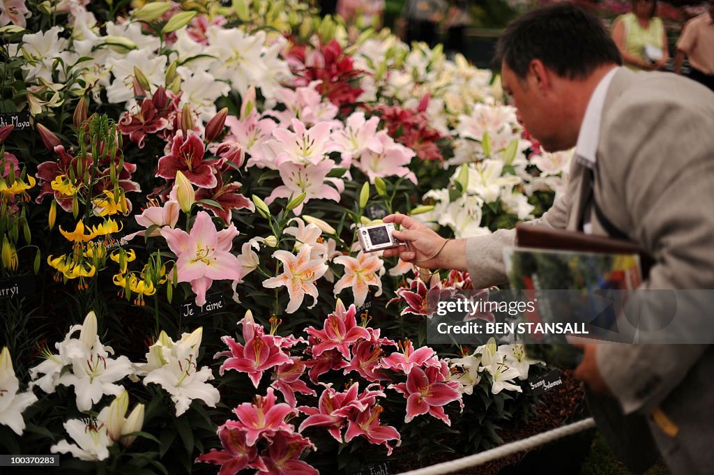 A man photographs flowers at the Chelsea
