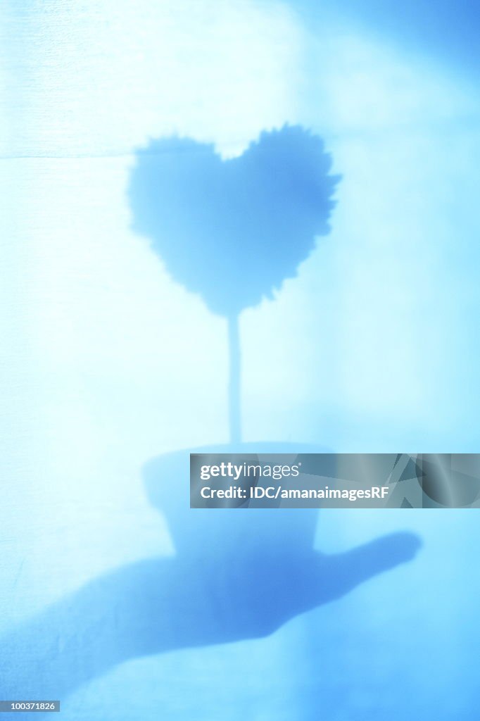 Silhouette of hand holding heart shaped potted plant, toned image