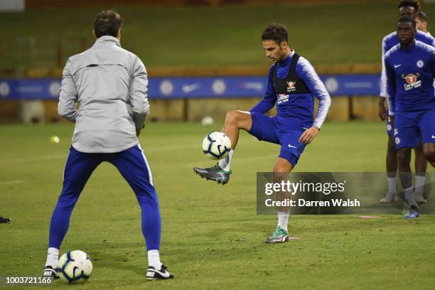 Cesc Fabregas of Chelsea during a training session at the WACA on July 22, 2018 in Perth, Australia.