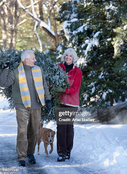 caucasian couple carrying christmas tree on snowy lane - christmas tree 50's stockfoto's en -beelden