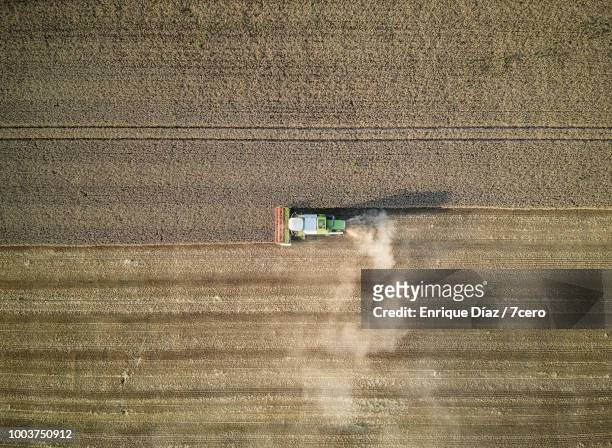 harvesting wheat, france 2 - champs tracteur photos et images de collection