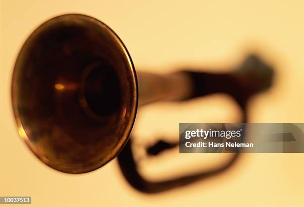 bugle - bugle stock pictures, royalty-free photos & images