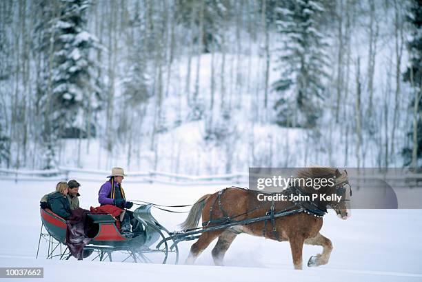 couple in horse drawn sleigh in aspen,colorado - coche-de-caballos fotografías e imágenes de stock