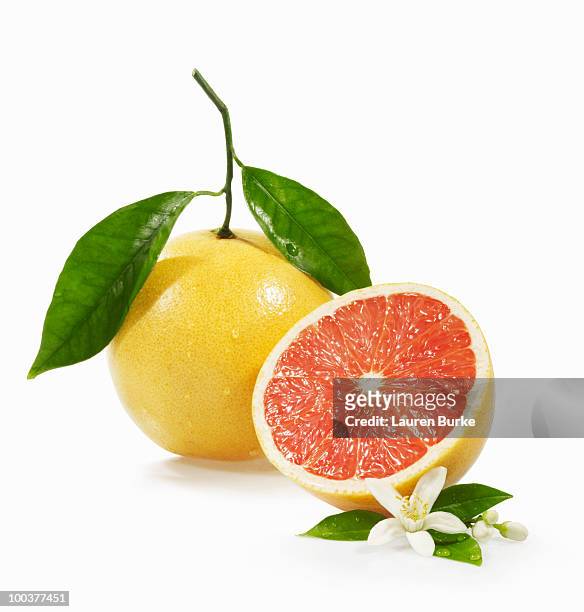 grapefruit whole and half with blossom - grapefruit stock pictures, royalty-free photos & images