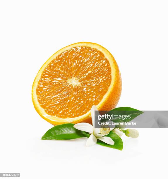 half orange with blossom - orange blossom stock pictures, royalty-free photos & images