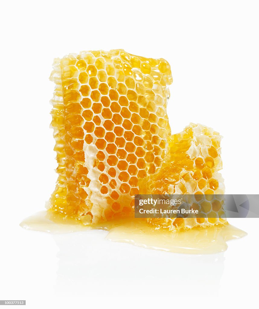 Honeycomb on White Background