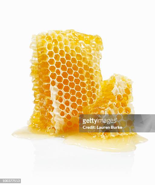 honeycomb on white background - bienenwabe stock-fotos und bilder