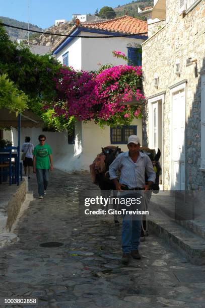 alley van hydra - hydra greece fotos stockfoto's en -beelden