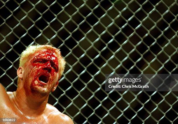 Jeff Jarrett feels the pain during the cage fight bout during the WWA Wrestling "Inception" fight night held at the Sydney Superdome, Sydney,...