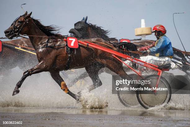 Horse and buggy teams compete in the annual horse buggy races on the mudflats at Duhnen on July 22, 2018 in Cuxhaven, Germany. The races, which in...