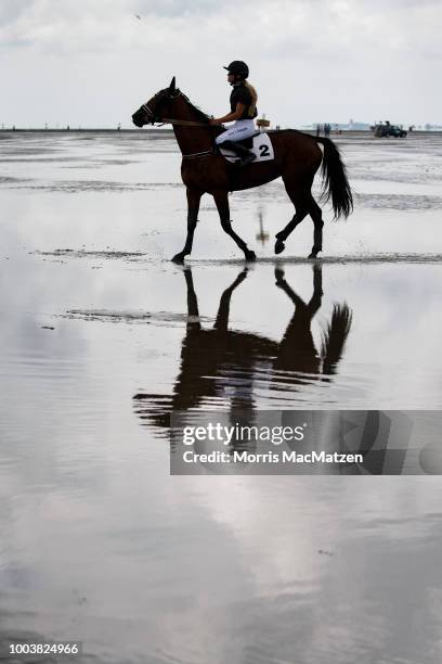 Horse and buggy teams compete in the annual horse buggy races on the mudflats at Duhnen on July 22, 2018 in Cuxhaven, Germany. The races, which in...