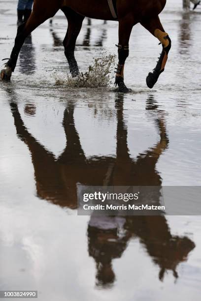 Horse and buggy teams compete in the annual horse buggy races on the mudflats at Duhnen on July 22, 2018 in Cuxhaven, Germany. The races, which in...