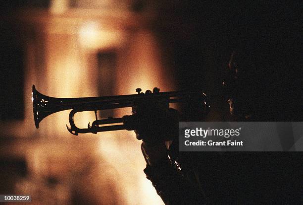 mariachi band player at night in mexico city - trumpet stockfoto's en -beelden