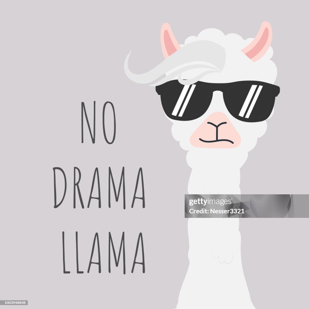 Cute No Drama Llama Tshirt Cute No Drama Llama Tshirt