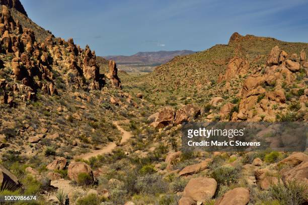 oranges, greens browns of a desert landscape - bioreserve stock pictures, royalty-free photos & images