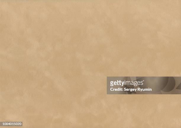 beige velvet - background - daim photos et images de collection