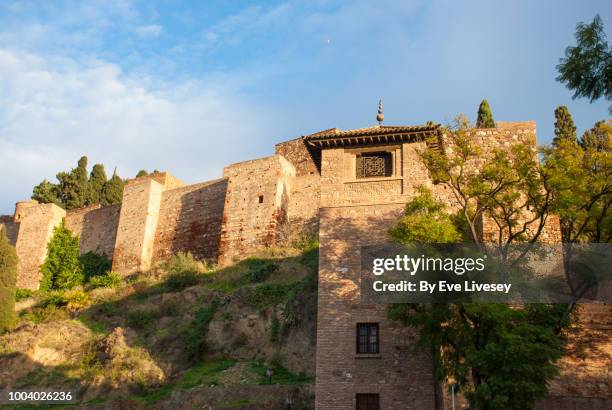 alcazaba (citadel) of malaga - alcazaba of málaga stock pictures, royalty-free photos & images
