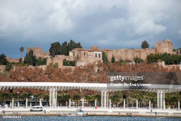 alcazaba (citadel) of malaga as seen from malaga harbour with the palmeral pergola in the forefront - alcazaba of málaga stock pictures, royalty-free photos & images