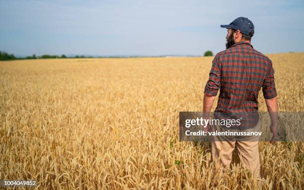 Field Worker Rear View Farmer Rear View Photos and Premium High Res Pictures - Getty Images