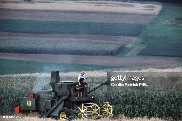 Moissonneuse-batteuse dans un champ de maïs en 1988 en RFA.