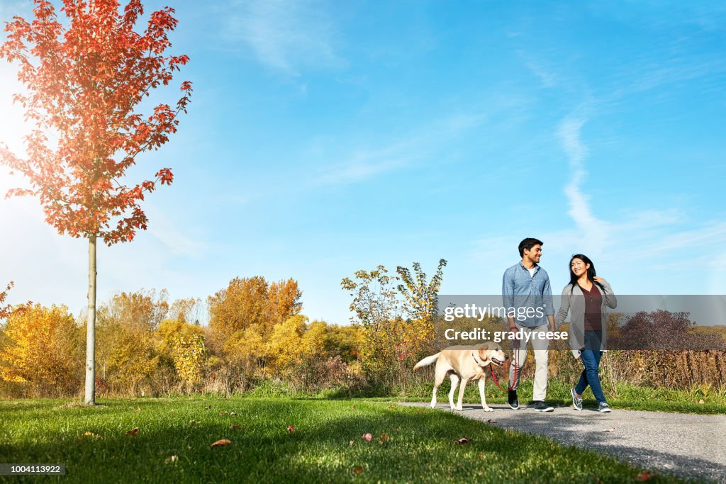 Walking your dog helps you stay more active