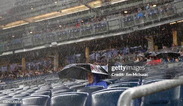 Fan braves the rain during a delayed start of a game between the New York Yankees and the New York Mets at Yankee Stadium on July 22, 2018 in the...