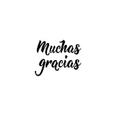 text in Spanish: Thank you very much. calligraphy vector illustration. muchas gracias