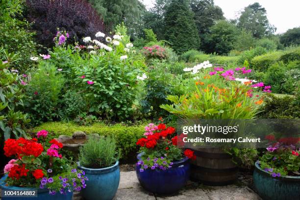 english country garden on overcast summer's day. - formal garden stock pictures, royalty-free photos & images