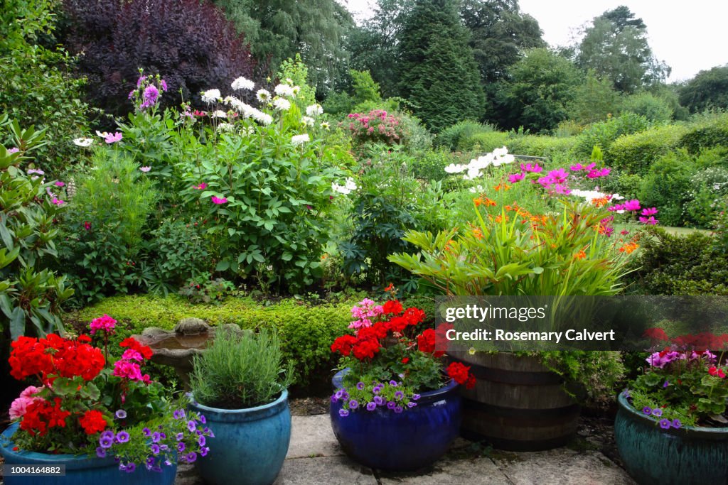 English Country garden on overcast summer's day.