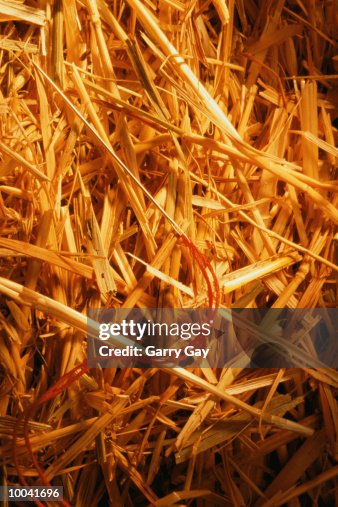 FINDING A NEEDLE IN A HAY STACK FINDING A NEEDLE IN A HAY STACK