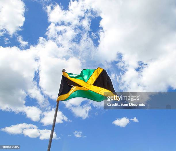 jamaican national flag - kingston-jamaica stockfoto's en -beelden