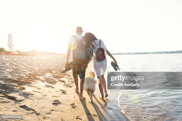 twee jonge mensen hand in hand en lopen op strand met een hond - beach walking stockfoto's en -beelden