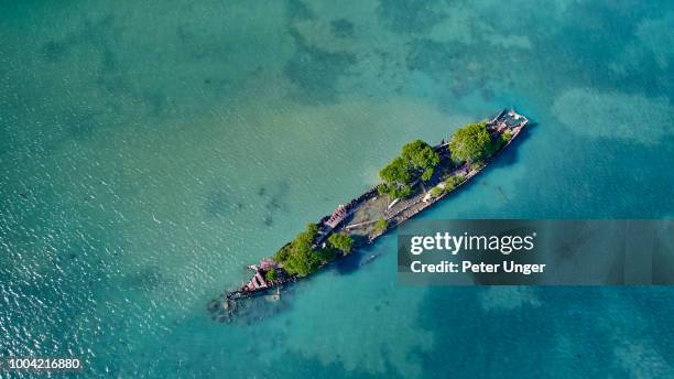 ship wreck and mangroves,magnetic island,queensland,australia - townsville fotografías e imágenes de stock