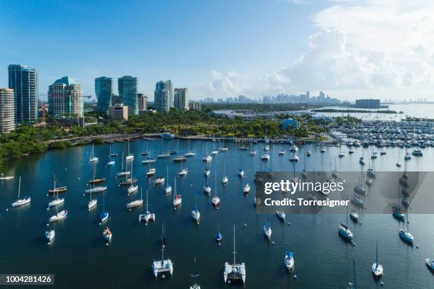 baia di coconut grove - miami foto e immagini stock