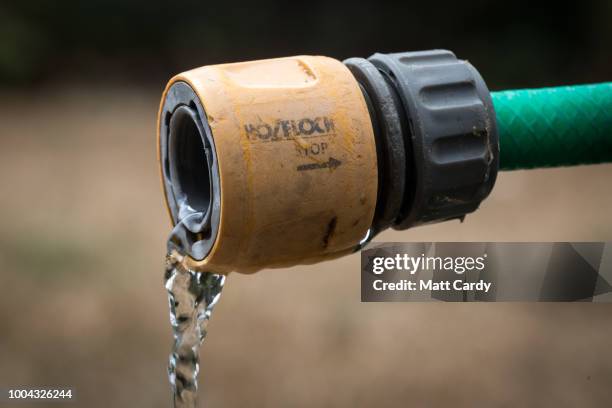 Hosepipe waters dry grass on a lawn in a garden in the village of Priston on July 23, 2018 near Bath, England. Seven million residents in the north...