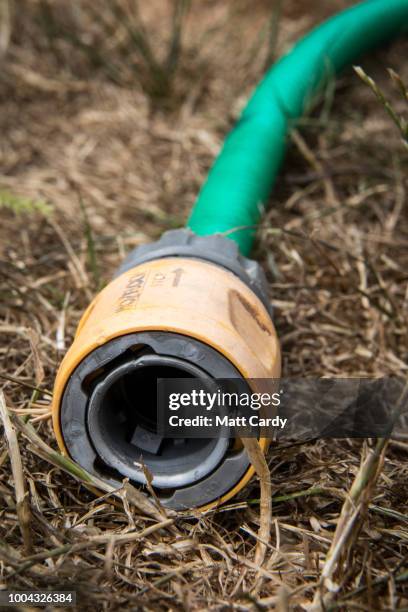 Hosepipe waters dry grass on a lawn in a garden in the village of Priston on July 23, 2018 near Bath, England. Seven million residents in the north...